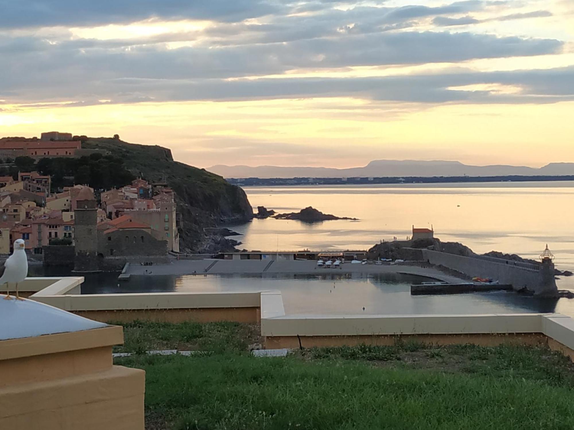 Location Vue Mer Du Samedi Au Samedi, Clim, Parking, Piscine, Plage Collioure Exteriér fotografie